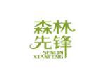 森林先锋