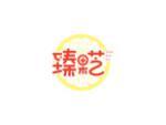 臻果芝