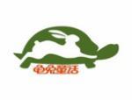 龟兔童话