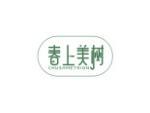 春上美树 CHUSHMETRION