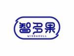 智多果 WISDAGULL