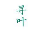 寻叶
