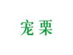 宠栗