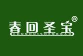 春回圣宝