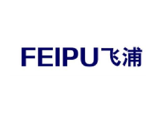飞浦