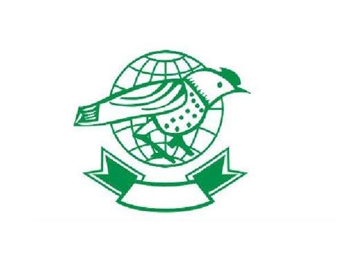 啄木鸟图形