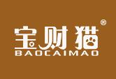 宝财猫