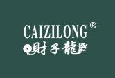 财子龙CAIZILONG