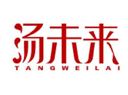 汤未来