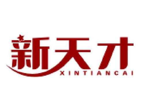 新天才