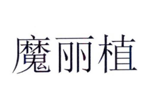 魔丽植