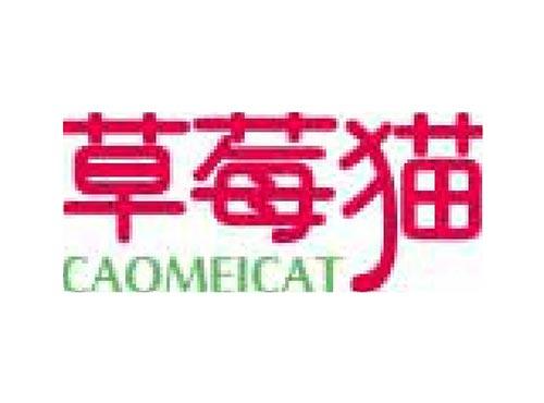 草莓猫 CAOMEICAT