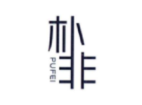 朴非        PUFEI