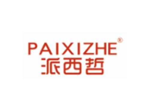 PAIXIZHE
派西哲