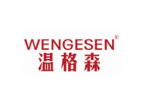 WENGESEN
温格森