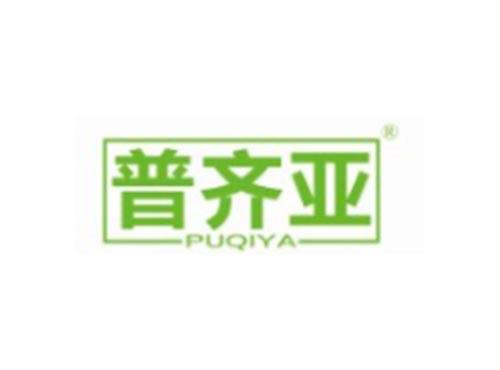 普齐亚
PUQIYA