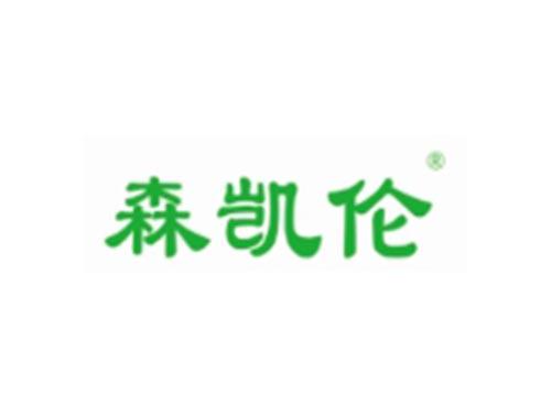 森凯伦