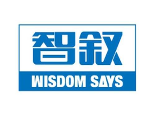 智叙WISDOMSAYS