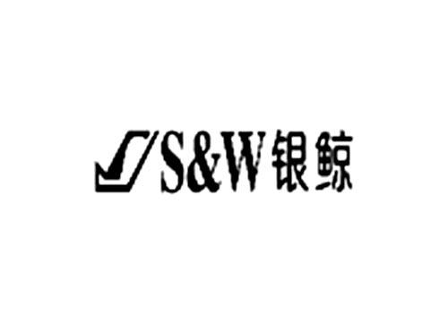 银鲸