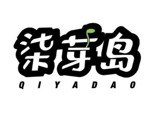 柒芽岛QIYADAO