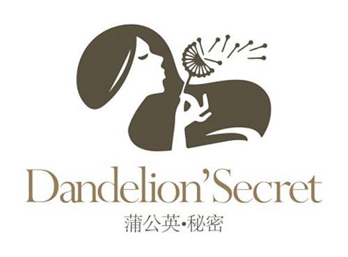 蒲公英秘密