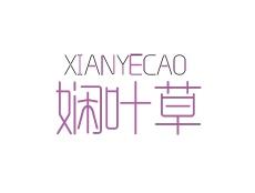 娴叶草