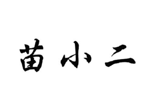 苗小二