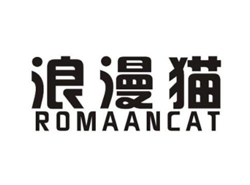 浪漫猫