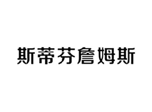 斯蒂芬詹姆斯