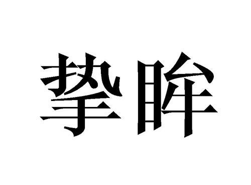 挚眸