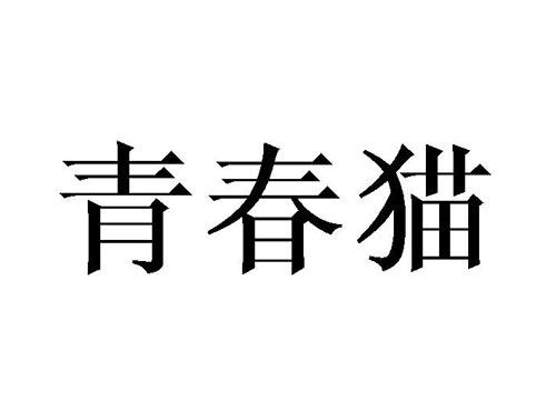 青春猫