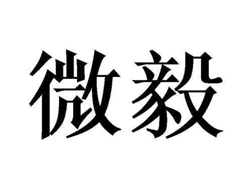 微毅