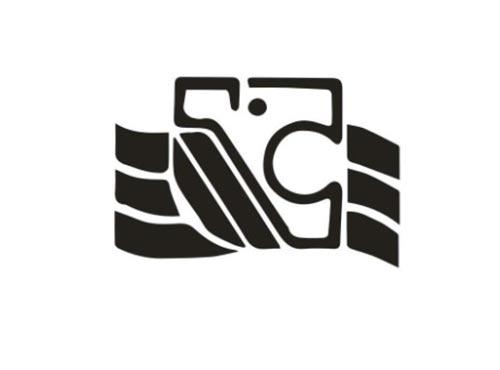 图形 （豹子）