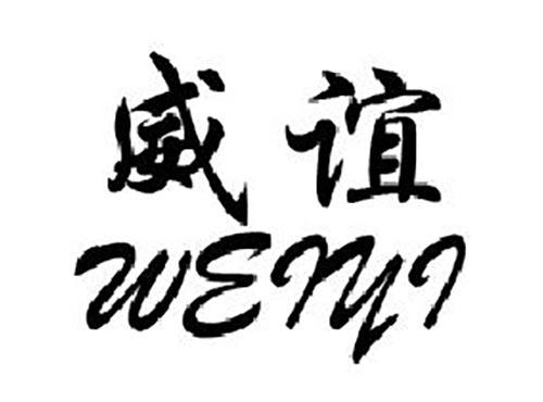 威谊WEIYI
