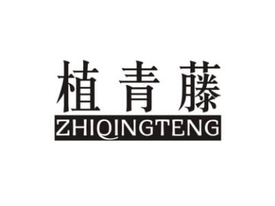 植青藤ZHIQINGTENG
