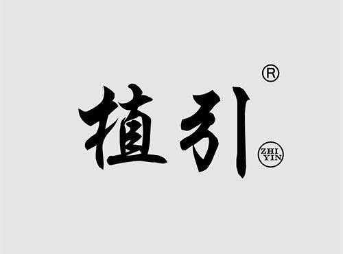 植引+拼音
