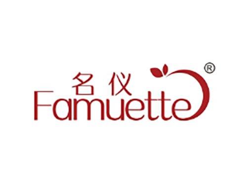 名仪 FAMUETTE