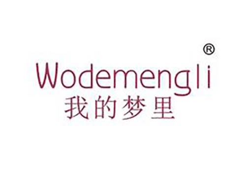 我的梦里