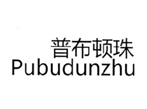 普布顿珠