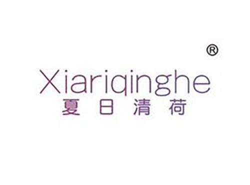 夏日清荷