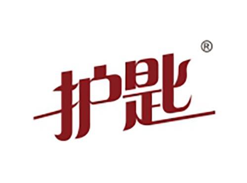护匙