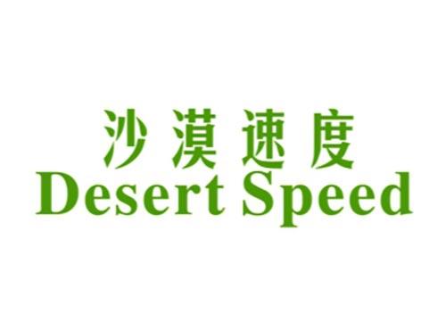 沙漠速度