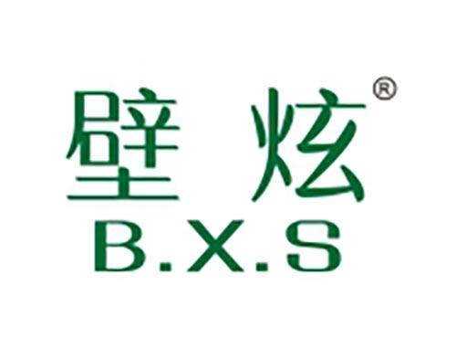 壁炫 BXS