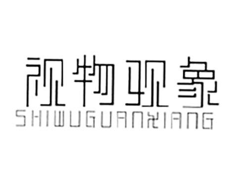 视物观象