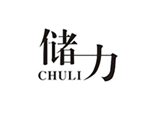 储力