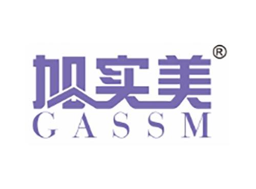 加实美 GASSM