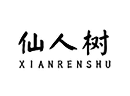 仙人树
