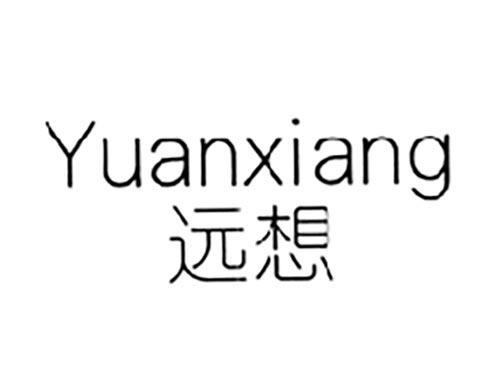 远想