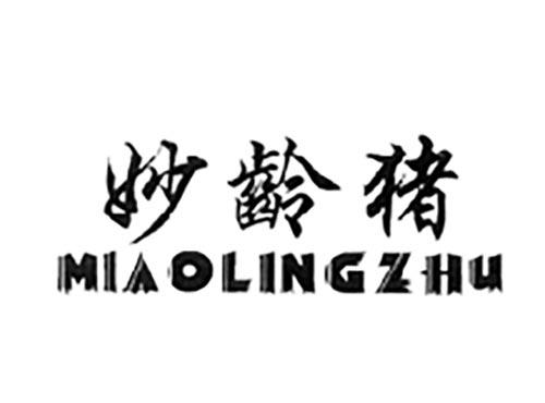 妙龄猪