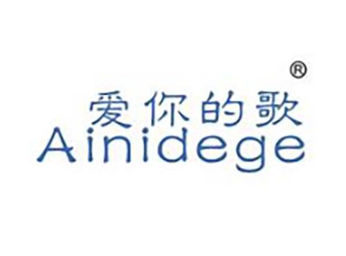 爱你的歌